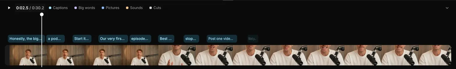 The real timeline with a caption block for every sentence